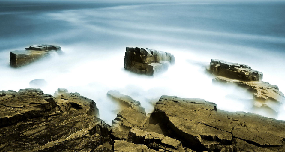 WHAT IS CONSCIOUSNESS?
