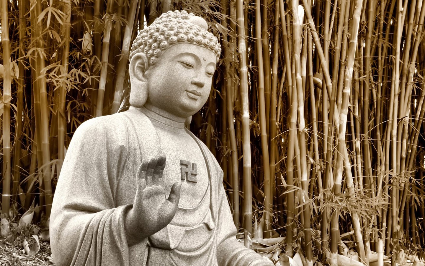 Searching Heart and Observing Heart