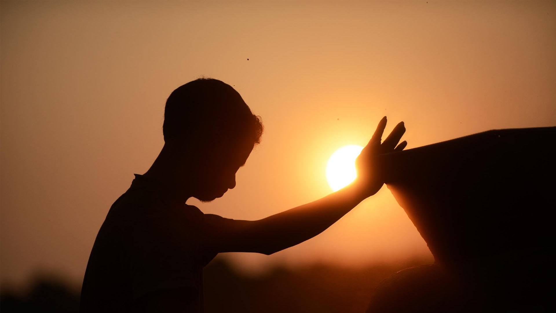 What is worry? Where does it come from? How can you get rid of it?