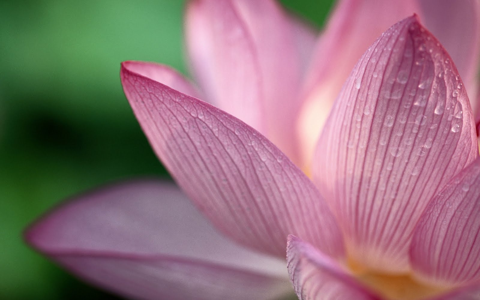 Introduction to Buddhism – Part 1