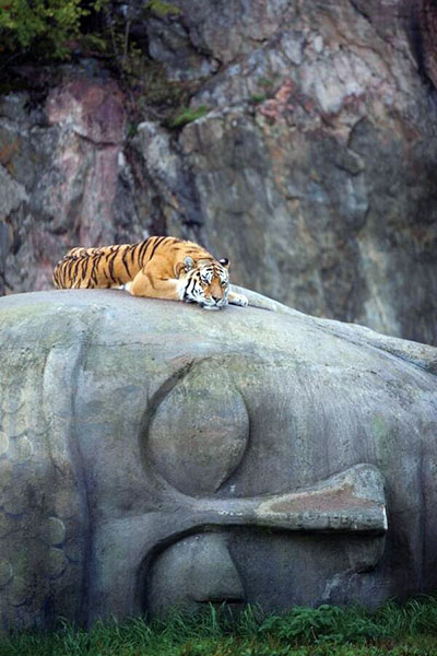 Meditation
