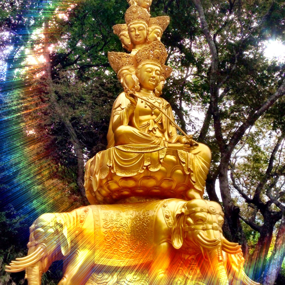 Appearing in all space