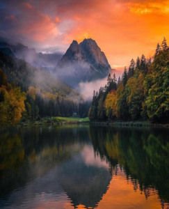 Tai Chi Harmony