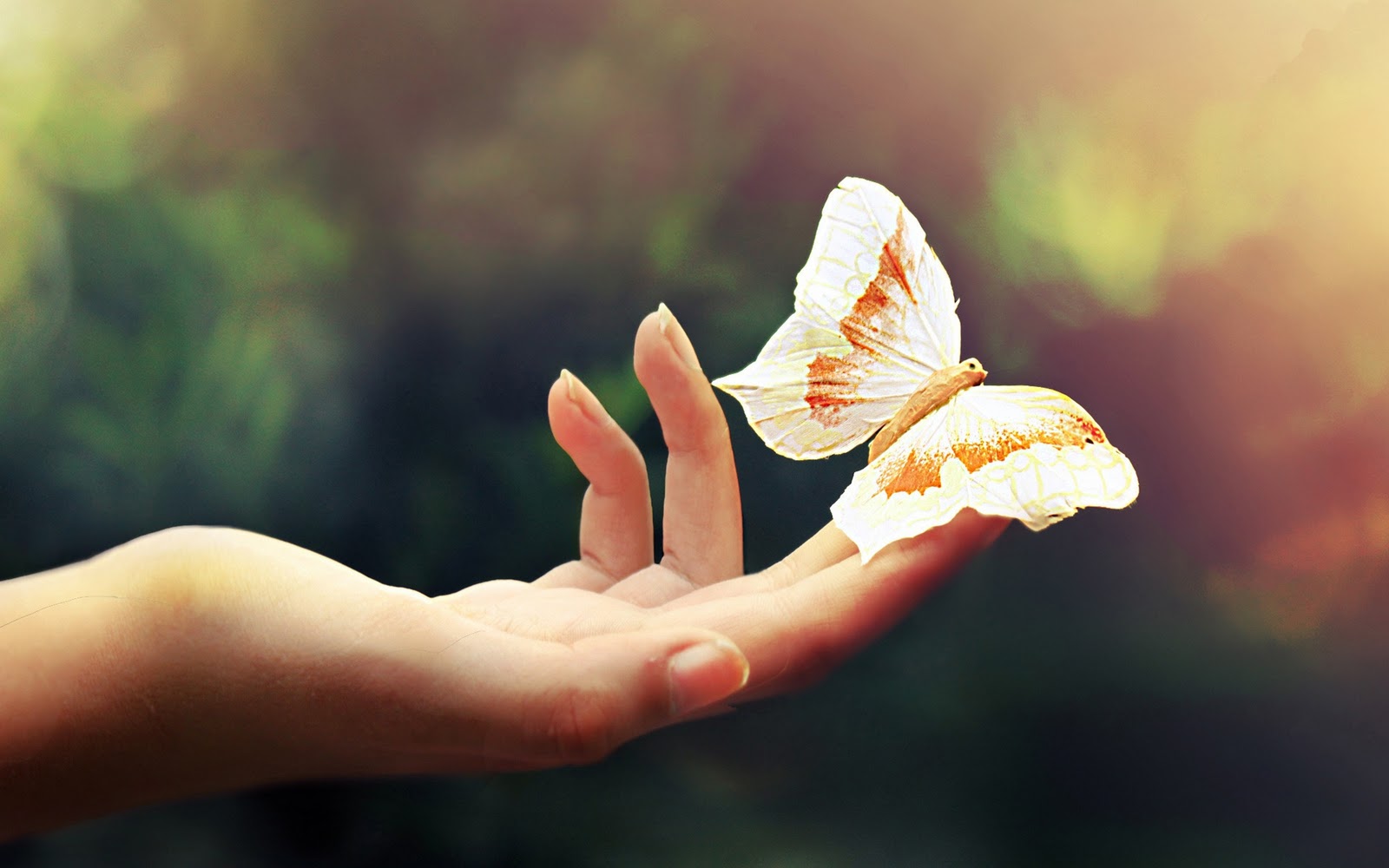 Introduction to Buddhism – Part 4