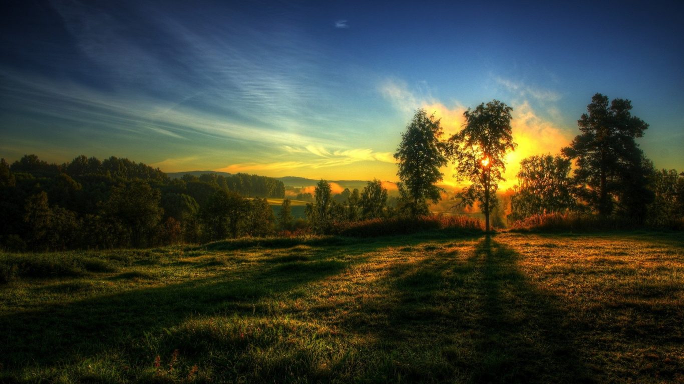 Train your subconscious to help you experience Pure Land every day.