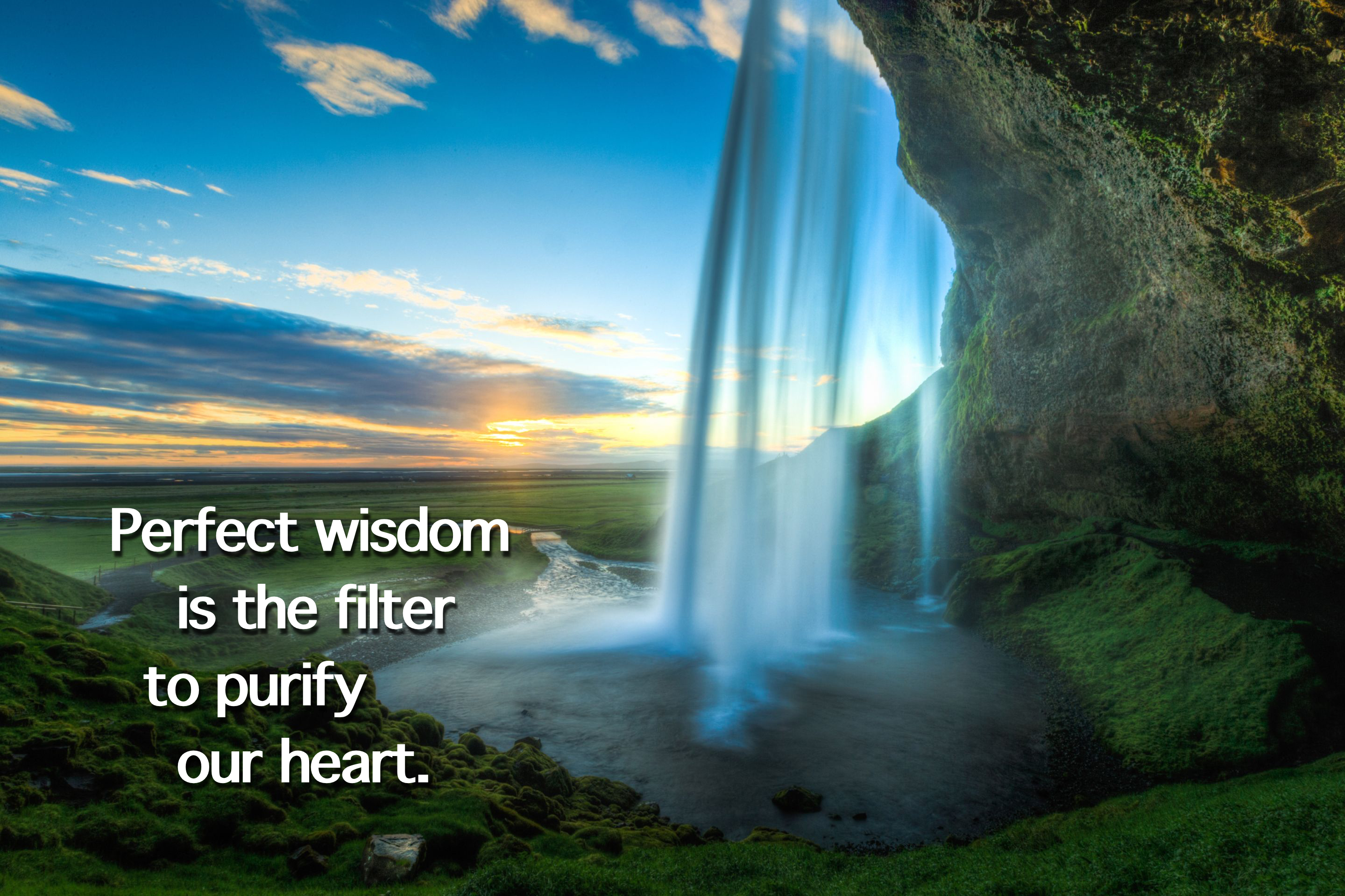 wise-pics-1