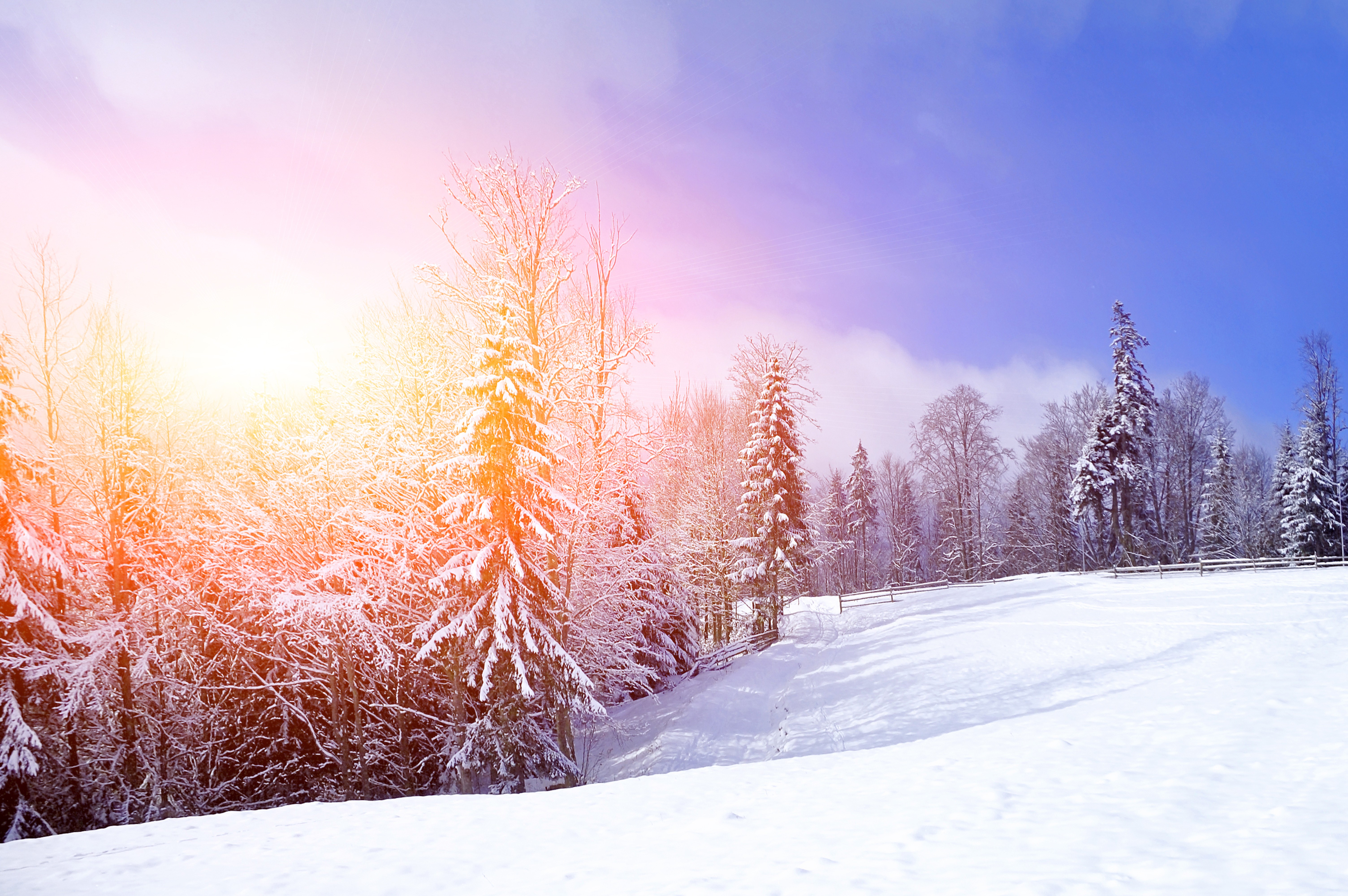 Зимнее снежное день. Зима солнце. Зимний пейзаж. Красивая зима. Зимний лес.