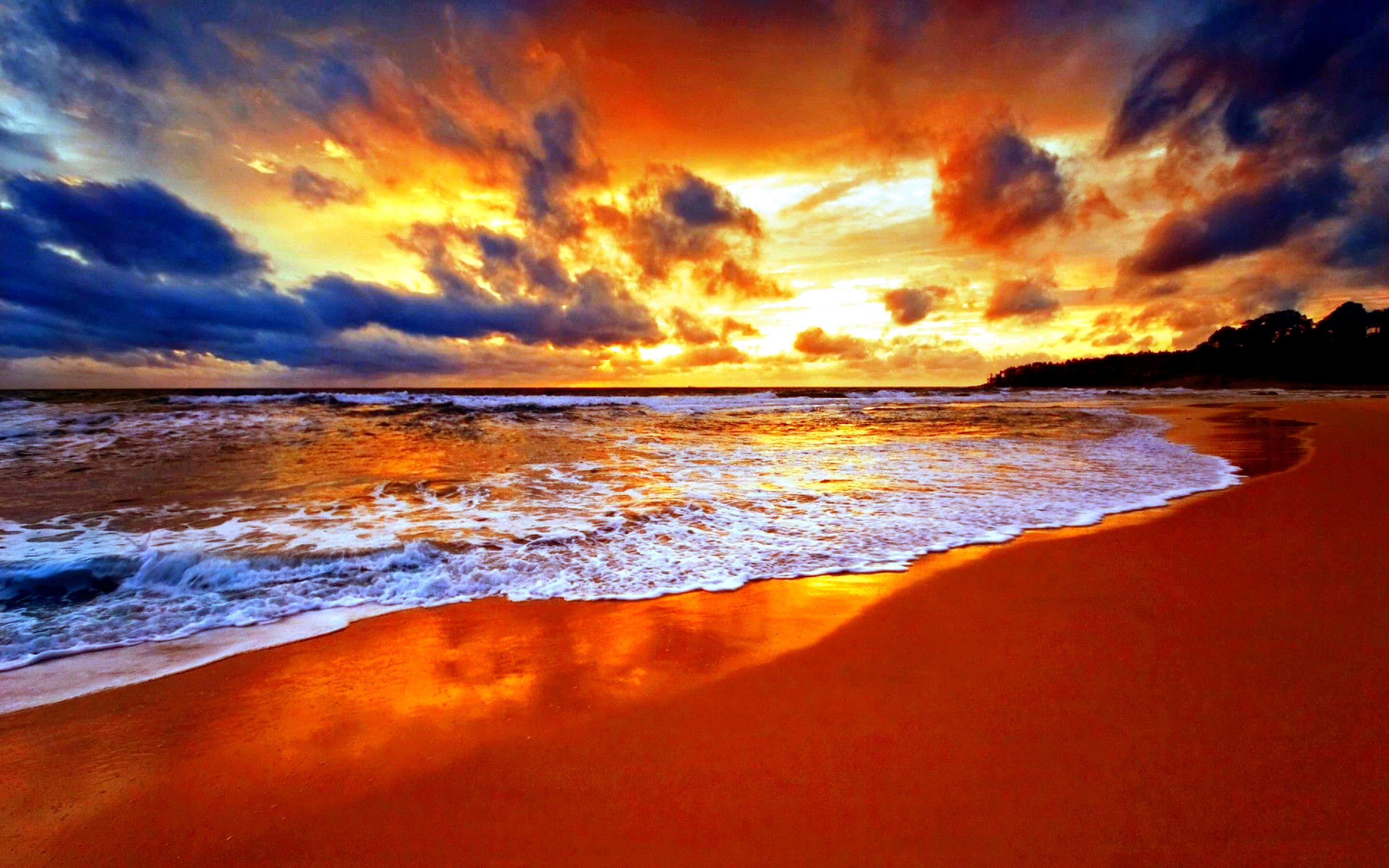 essence buddhism buddha philosophy what is life