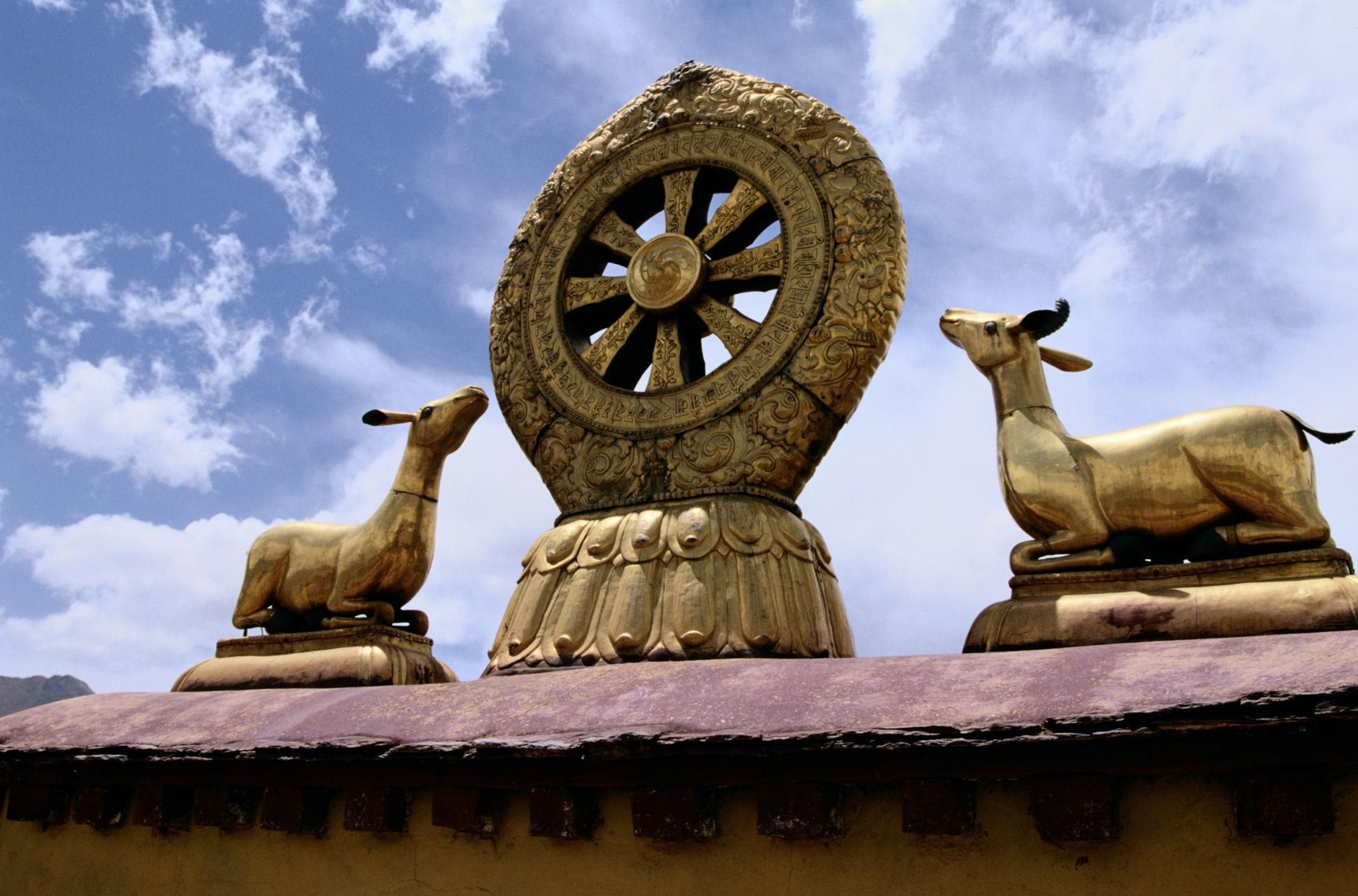 Pure Dharma connected to Pure Land