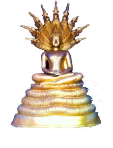 Spiritual Buddha 
