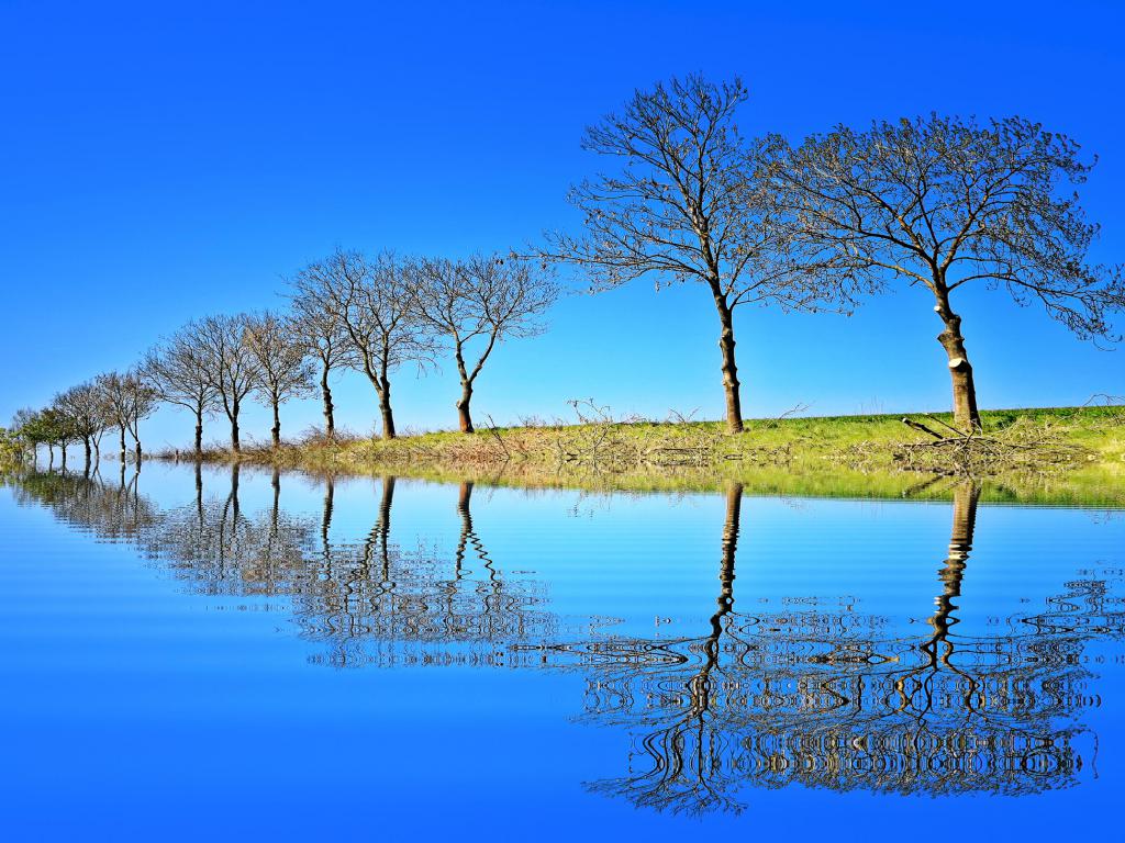 Nirvana is not a place it’s an ability.