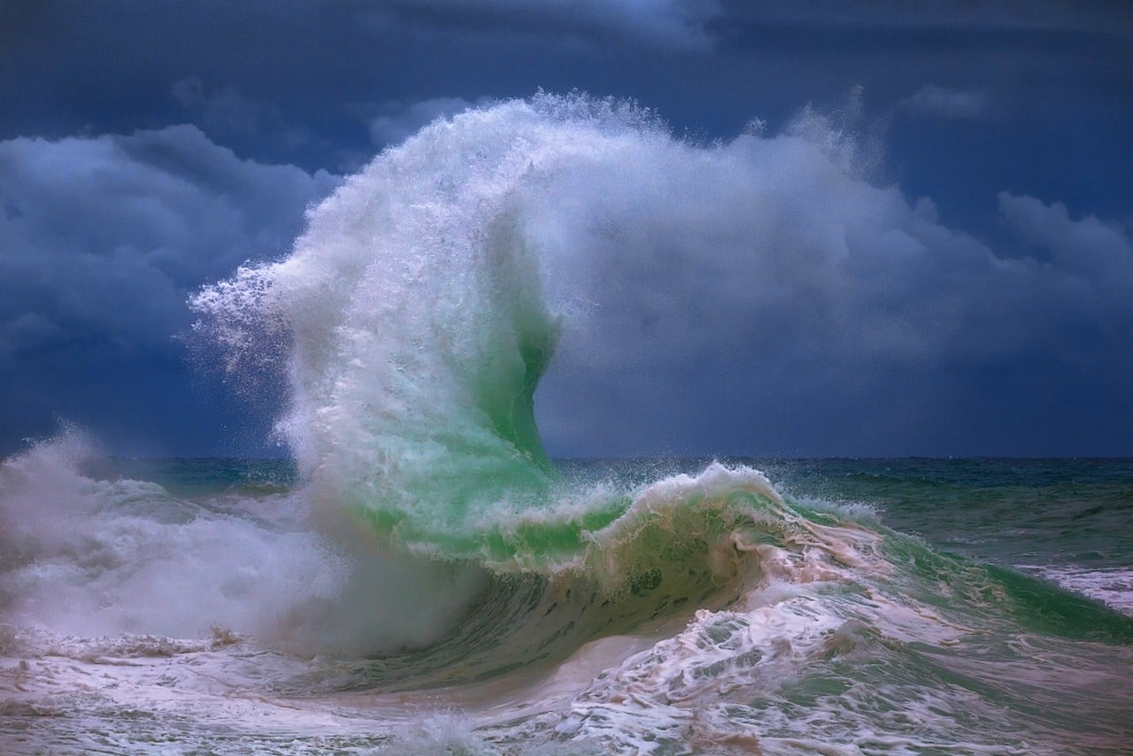 The eternal force of life in both sides