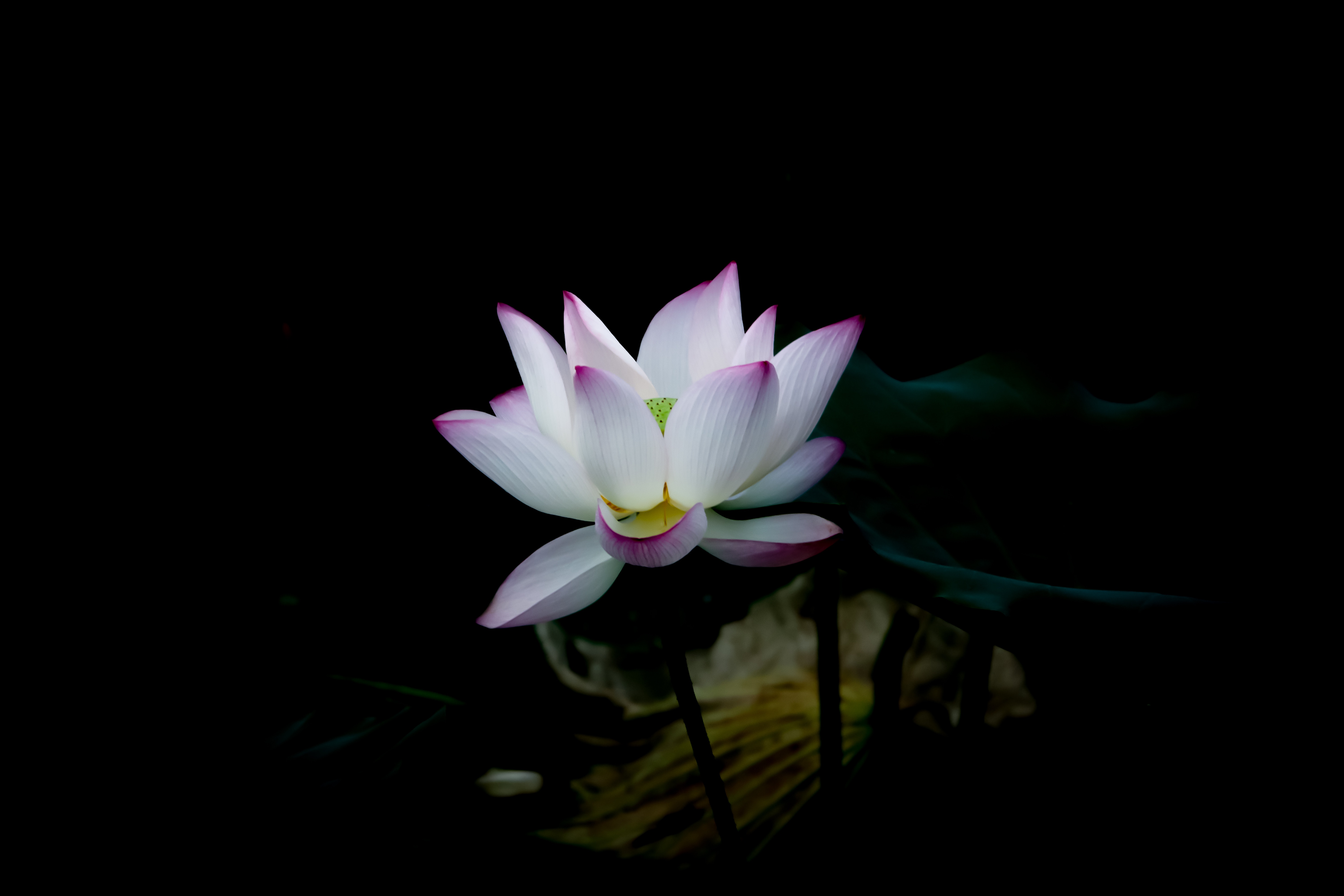 3 Meditation Controls – tips for practice