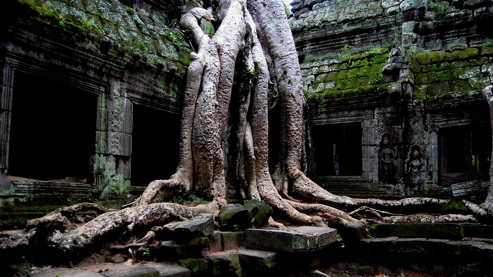 Bodhisattva Story