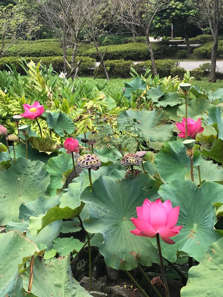 Heart Sutra Summary – Part 1