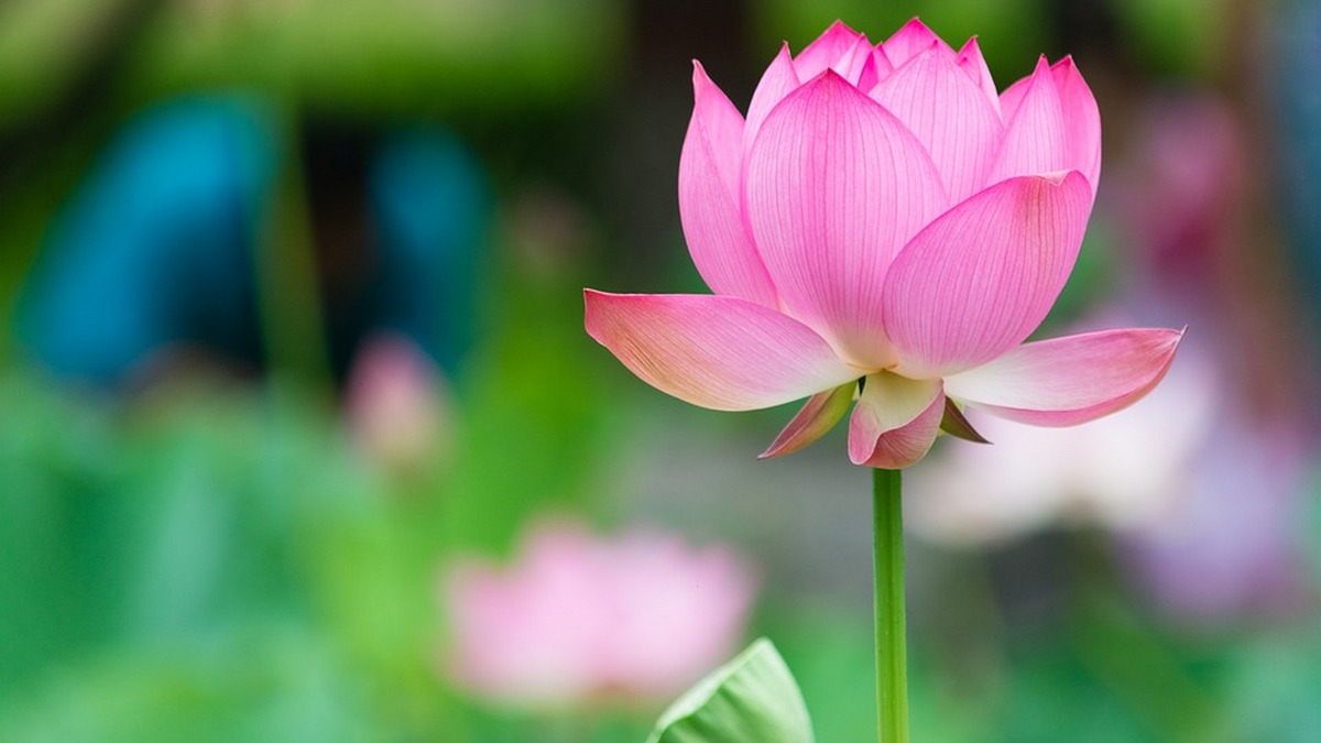 Deciphering the Heart Sutra: A Journey to Spiritual Awakening